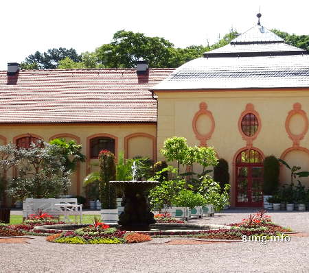 Zitrusgarten Schloss Belvedere