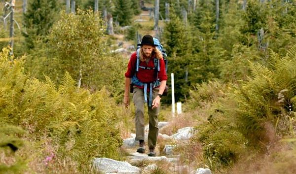 Der wilde Wald: Wanderer (c) Lisa Eder Film